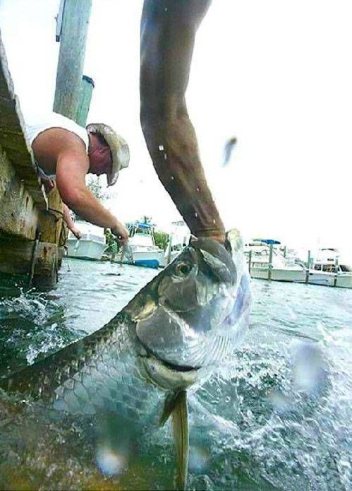Daily picdump (124 pics)