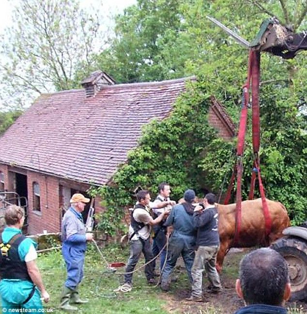 Daily picdump (124 pics)