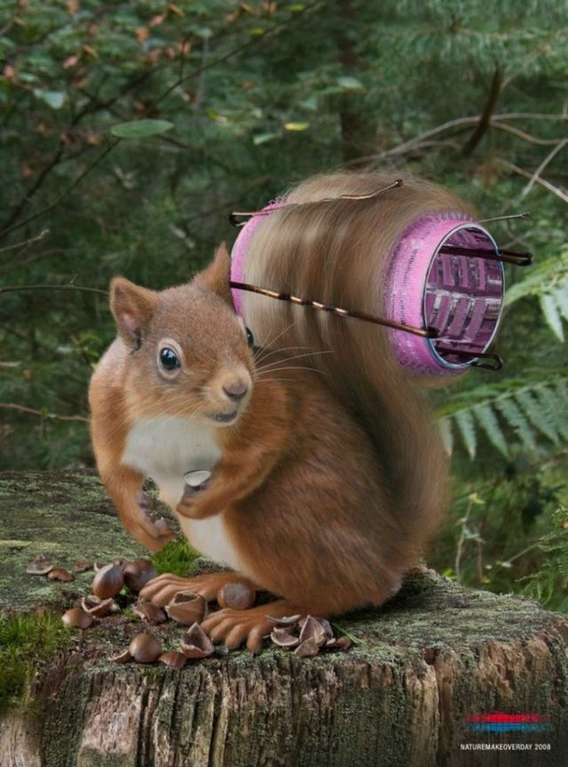 Daily picdump (124 pics)