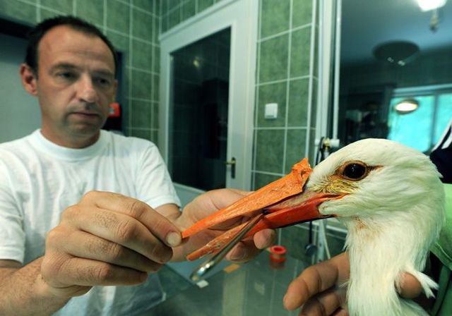 Daily picdump (124 pics)
