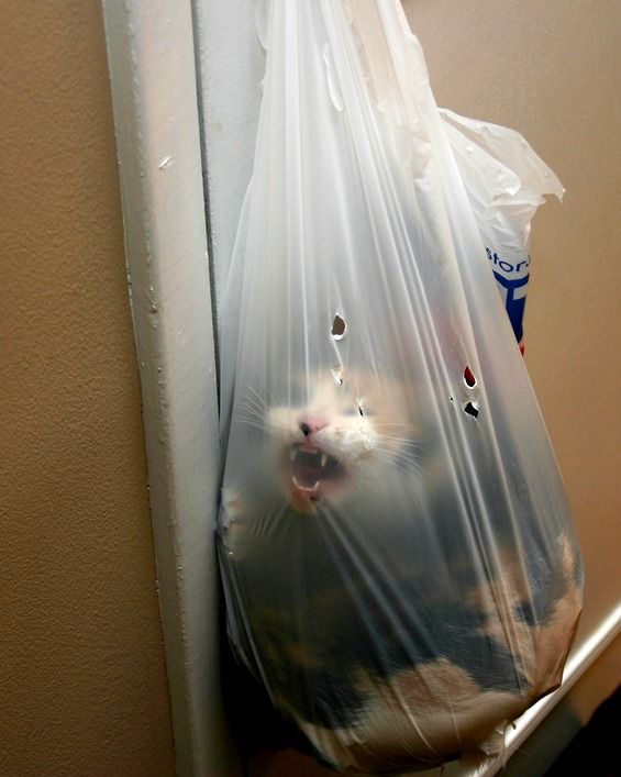 Daily picdump (124 pics)