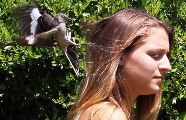 Daily picdump (124 pics)