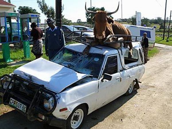 Daily picdump (124 pics)