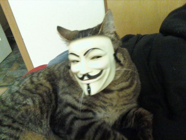 Daily picdump (124 pics)