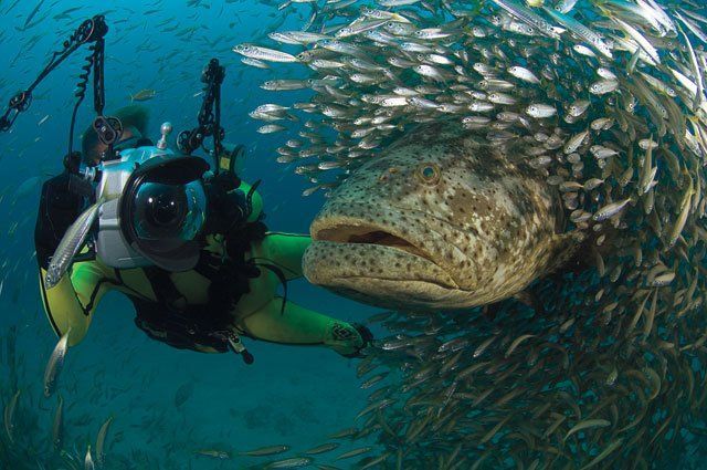 Daily picdump (124 pics)