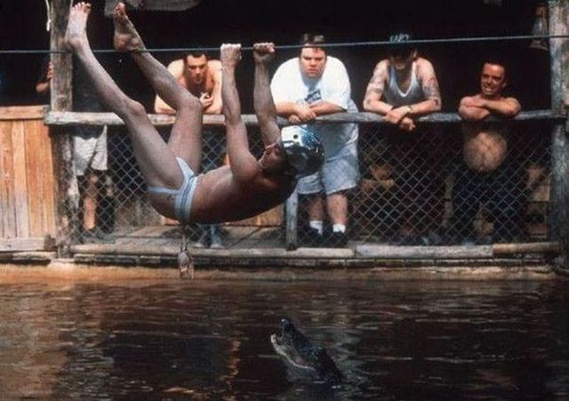 Daily picdump (144 pics)