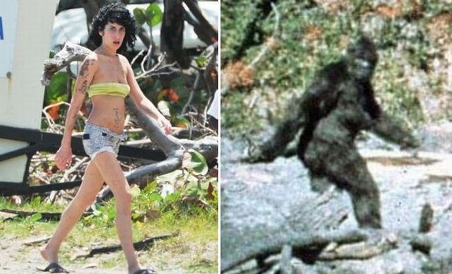 Daily picdump (144 pics)