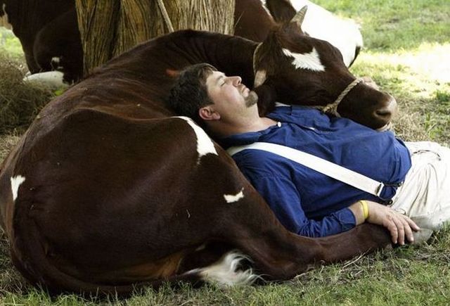 Daily picdump (144 pics)