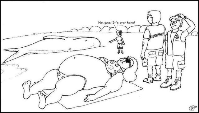 Daily picdump (144 pics)