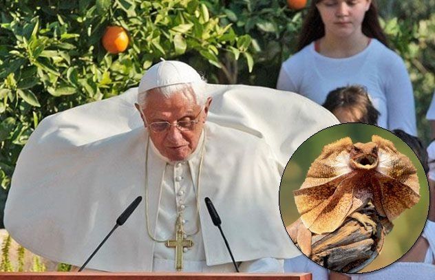 Daily picdump (144 pics)