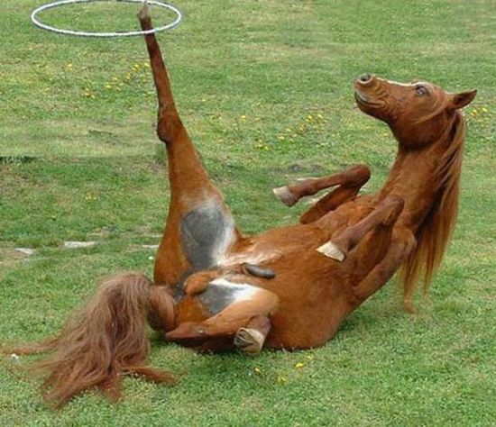 Daily picdump (144 pics)