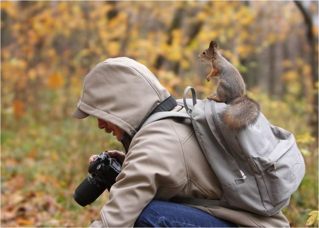 Daily picdump (144 pics)