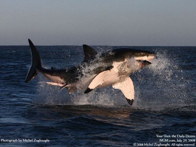 Daily picdump (144 pics)