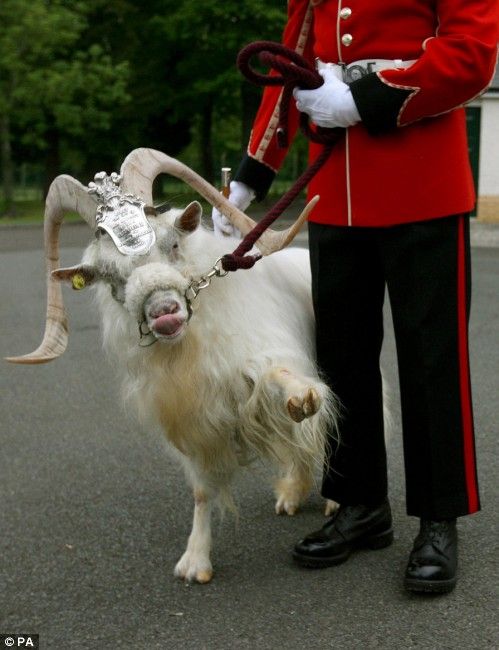 Daily picdump (144 pics)