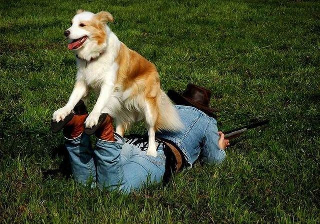 These funny animals (45 pics)
