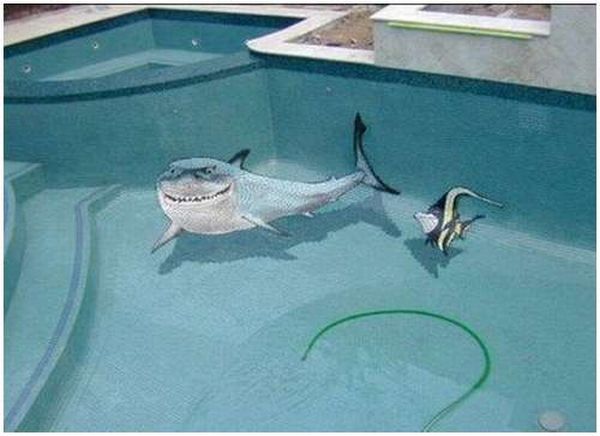 Great 3D swimming pool!! (9 pics)