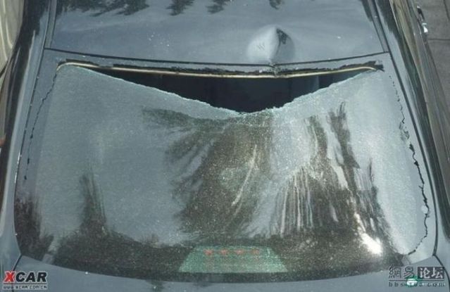 A leaf fell on a car (2 pics)