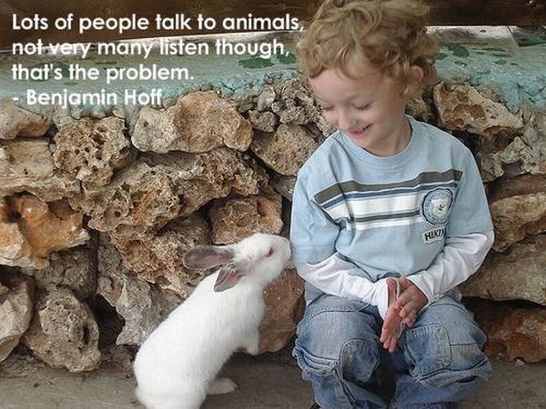 Incredible motivational and inspirational posters (21 pics)