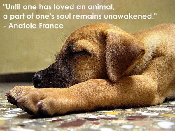 Incredible motivational and inspirational posters (21 pics)