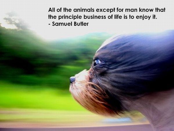 Incredible motivational and inspirational posters (21 pics)