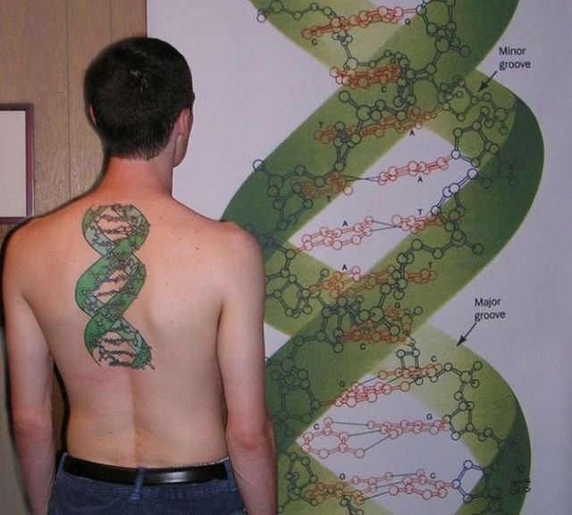 Scientific tattoos (62 photos)