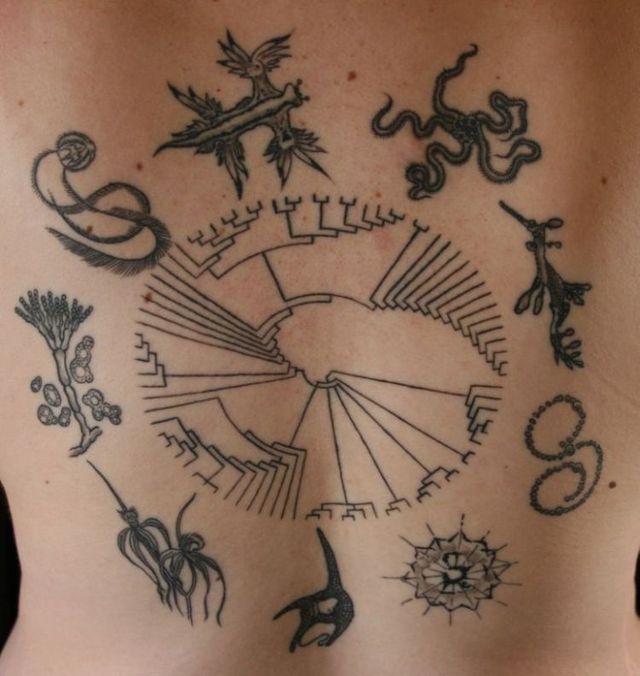 Scientific tattoos (62 photos)