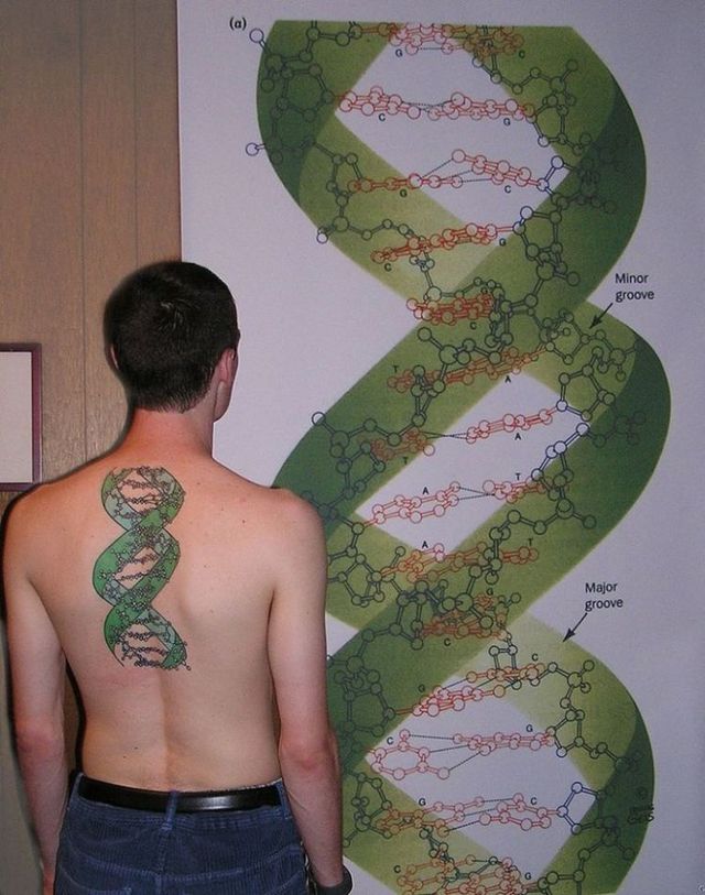 Scientific tattoos (62 photos)