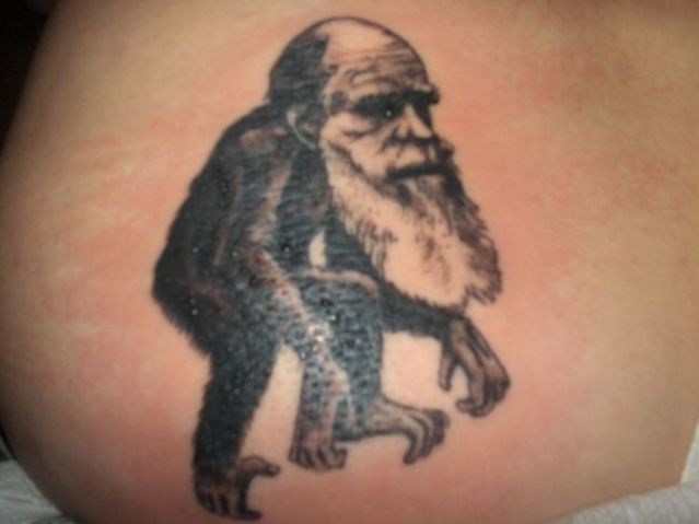 Scientific tattoos (62 photos)