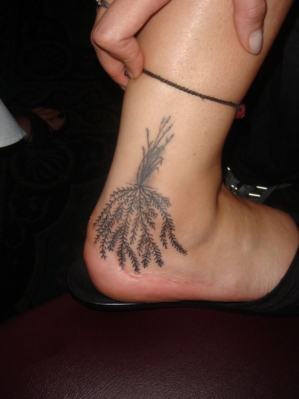 Scientific tattoos (62 photos)