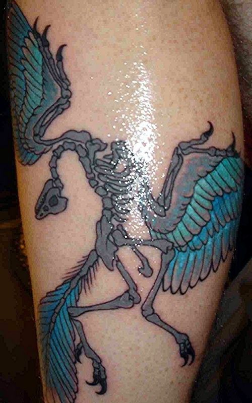 Scientific tattoos (62 photos)