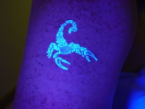 Scientific tattoos (62 photos)