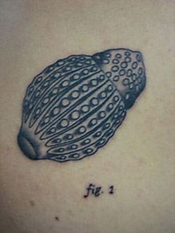 Scientific tattoos (62 photos)