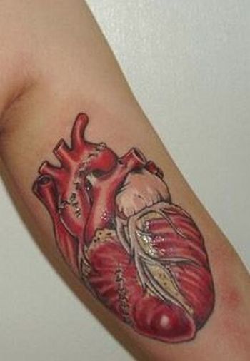 Scientific tattoos (62 photos)