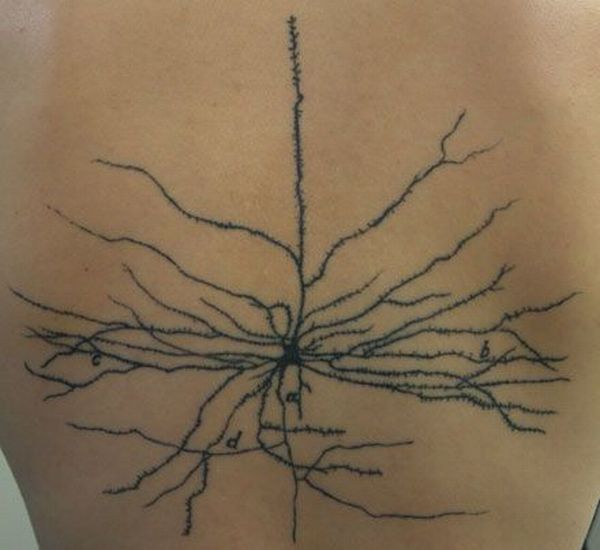 Scientific tattoos (62 photos)
