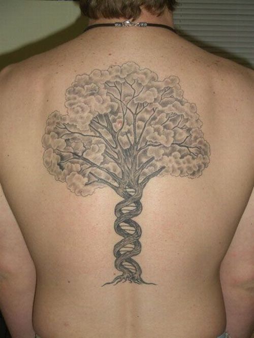 Scientific tattoos (62 photos)