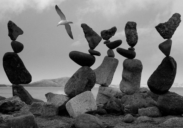 Perfect balance (51 pics + 1 video)