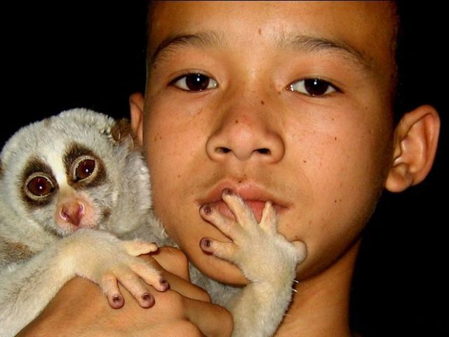 Pictures from life (59 photos)