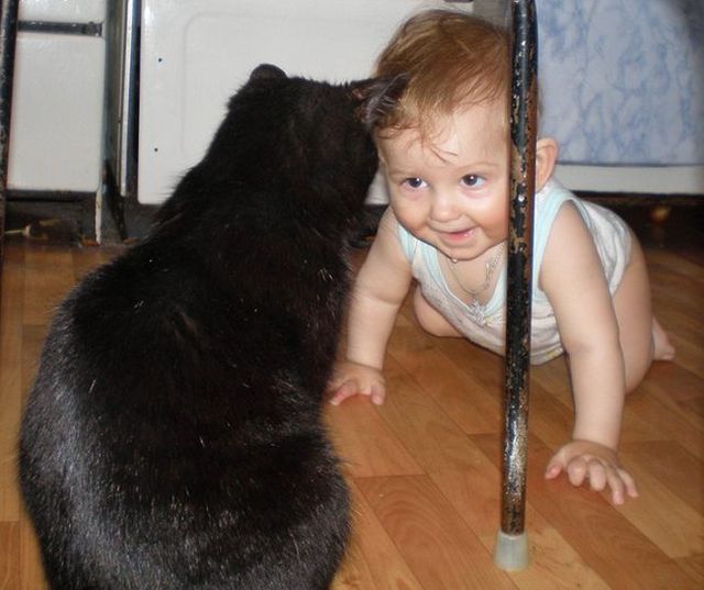 Pictures from life (59 photos)