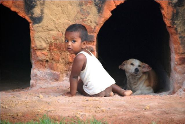 Pictures from life (59 photos)