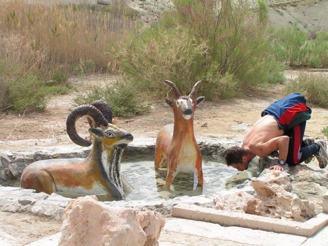 Pictures from life (59 photos)