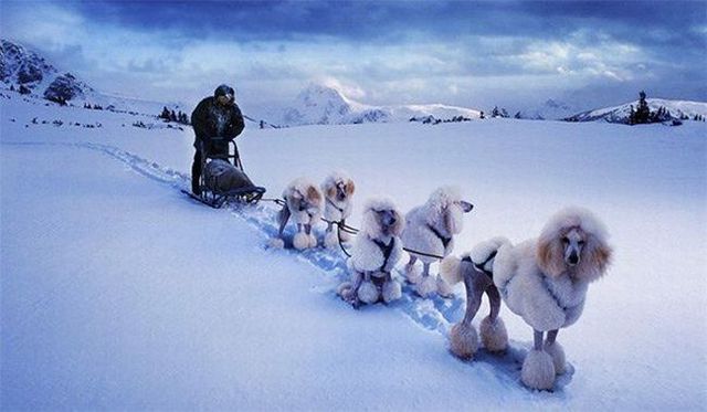 Daily picdump (110 pics)