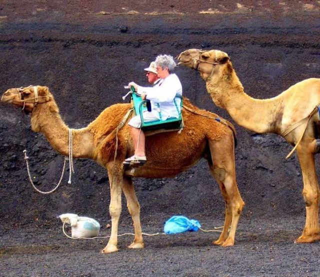 Daily picdump (110 pics)
