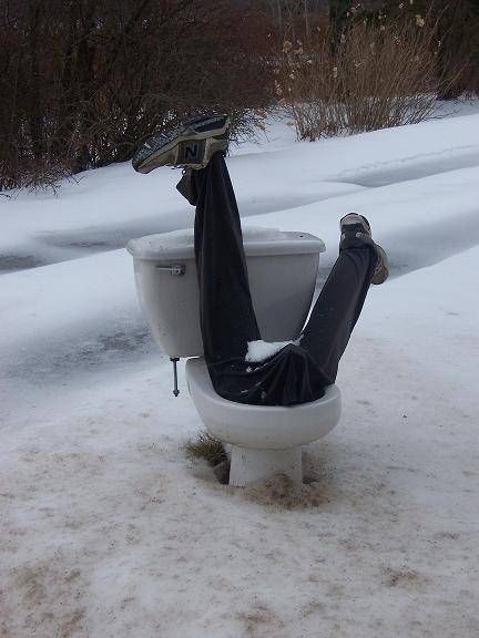 Daily picdump (110 pics)