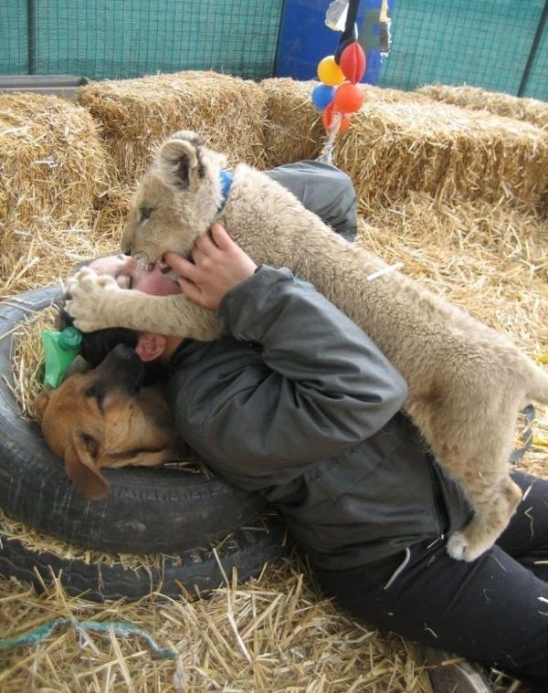 Daily picdump (110 pics)