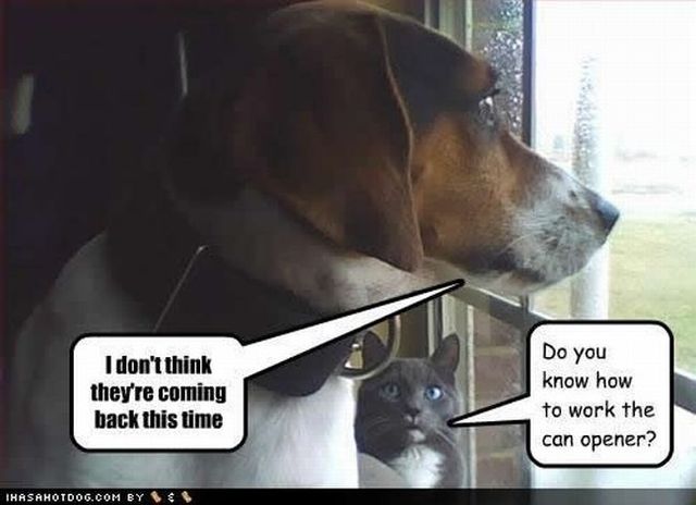 Daily picdump (110 pics)