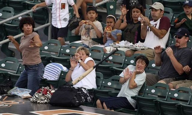Daily picdump (110 pics)
