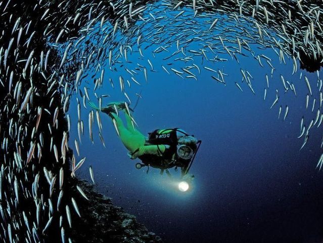 Australia – The Great Barrier Reef (43 pics)