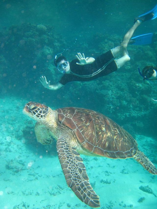 Australia – The Great Barrier Reef (43 pics)