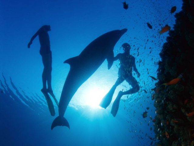 Australia – The Great Barrier Reef (43 pics)
