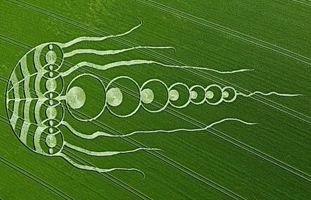 Daily picdump (109 pics)
